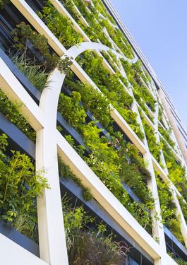 edificio green sostenibilita